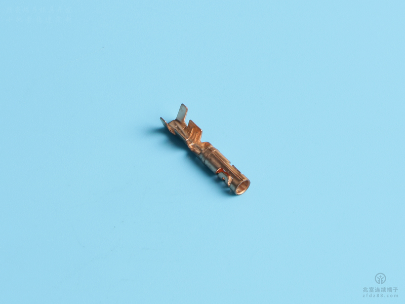 2.5雙腳母端（定制），黃銅，原色，單粒（OM18-01）